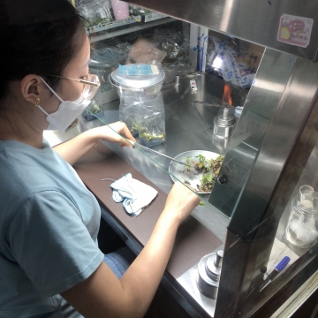 Khóa học nuôi cấy mô